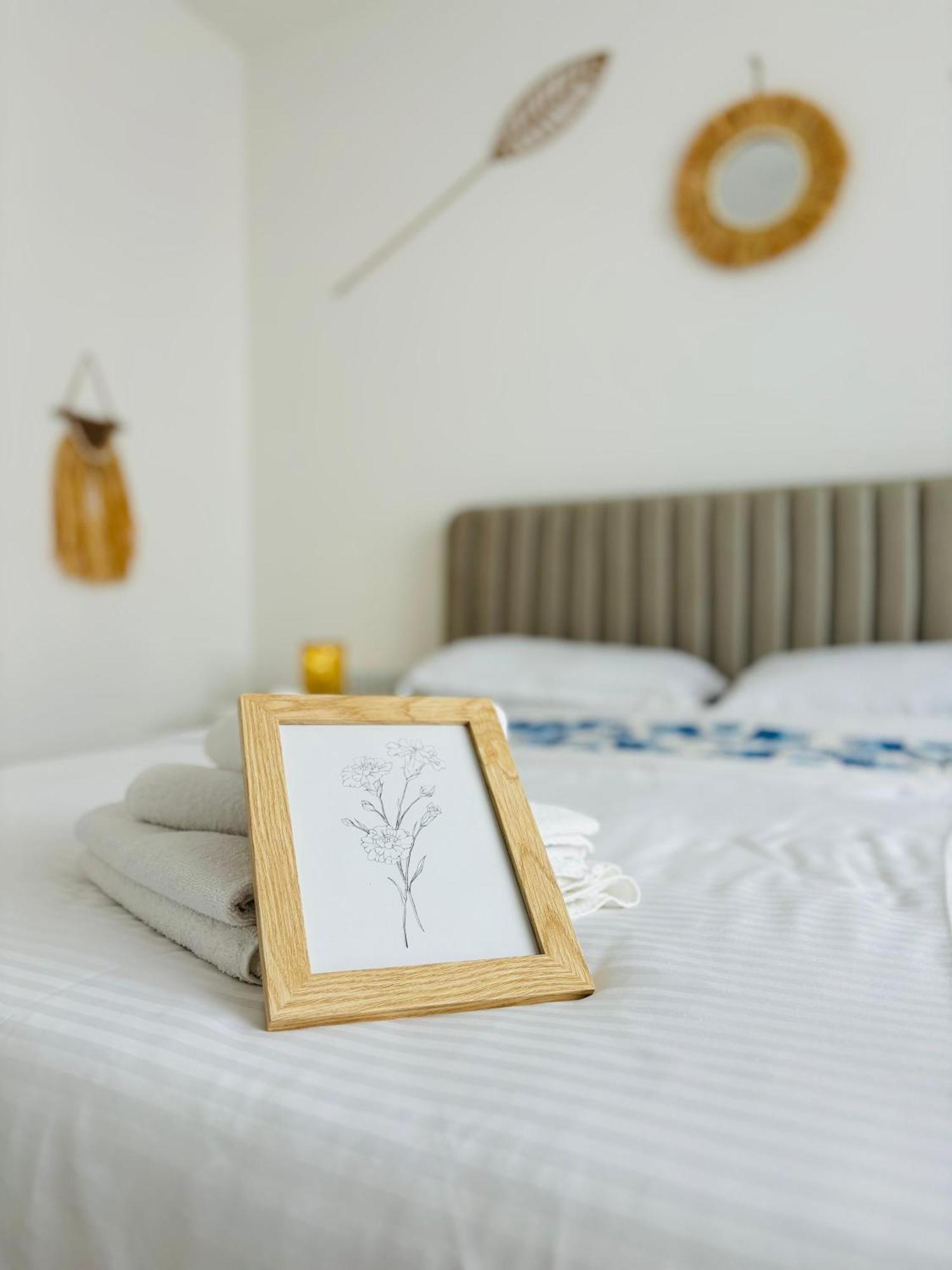 Amos Apartment-Ultracentral-Free Parking Cluj-Napoca Eksteriør bilde