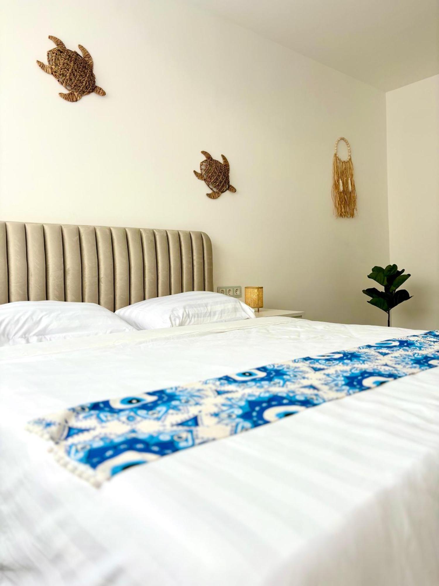 Amos Apartment-Ultracentral-Free Parking Cluj-Napoca Eksteriør bilde